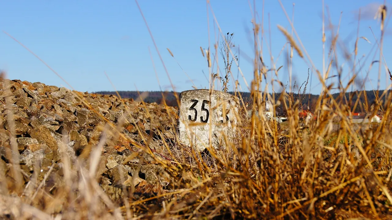 Borne de pierre numérotée, dans les herbes sèches